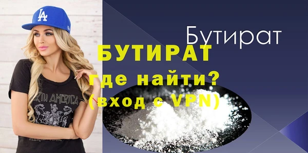 стаф Ельня