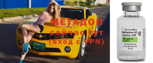 прущие грибы Елизово