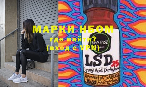 стаф Ельня