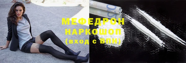 стаф Ельня