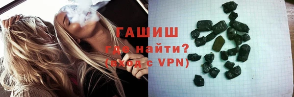 стаф Ельня