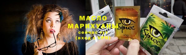 стаф Ельня
