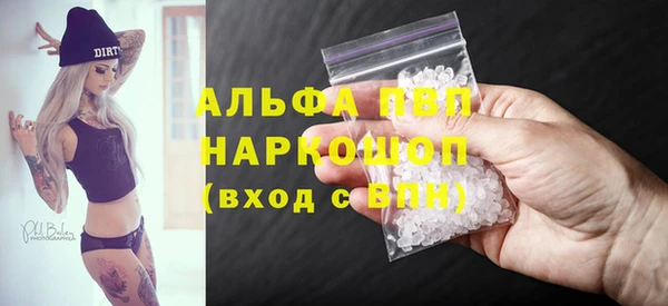 стаф Ельня