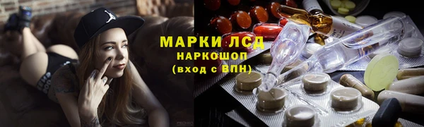 прущие грибы Елизово