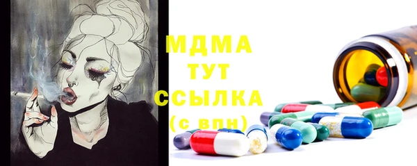 прущие грибы Елизово