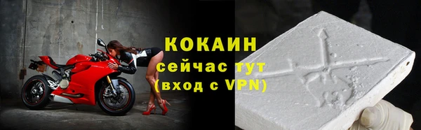 стаф Ельня