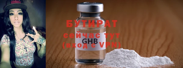 стаф Ельня