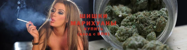 прущие грибы Елизово