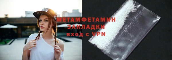 прущие грибы Елизово
