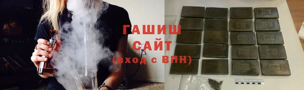 стаф Ельня