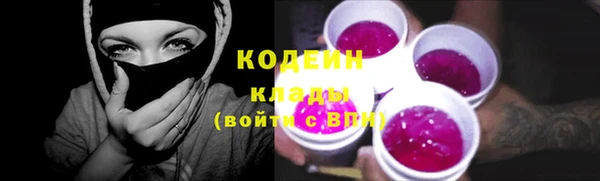 стаф Ельня