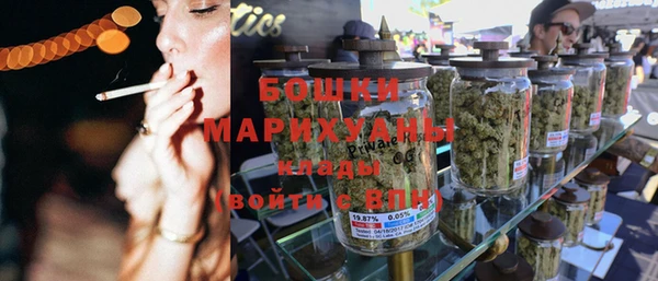 прущие грибы Елизово