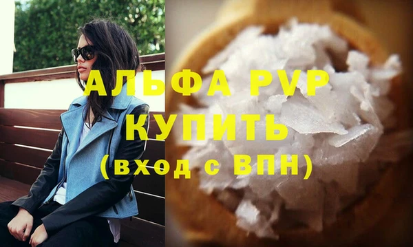 прущие грибы Елизово
