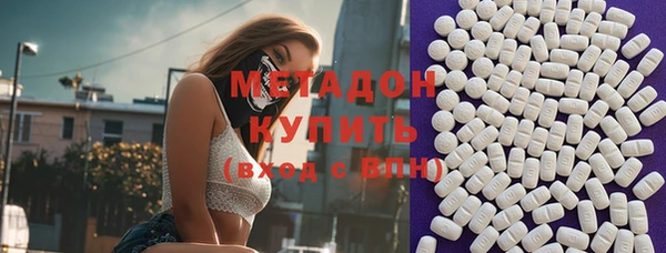 прущие грибы Елизово
