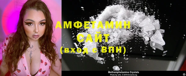стаф Ельня