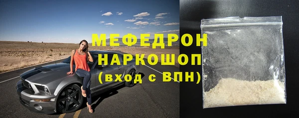 стаф Ельня