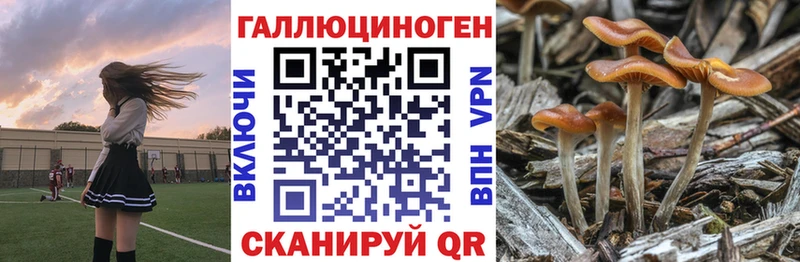 Галлюциногенные грибы MAGIC MUSHROOMS Малоярославец